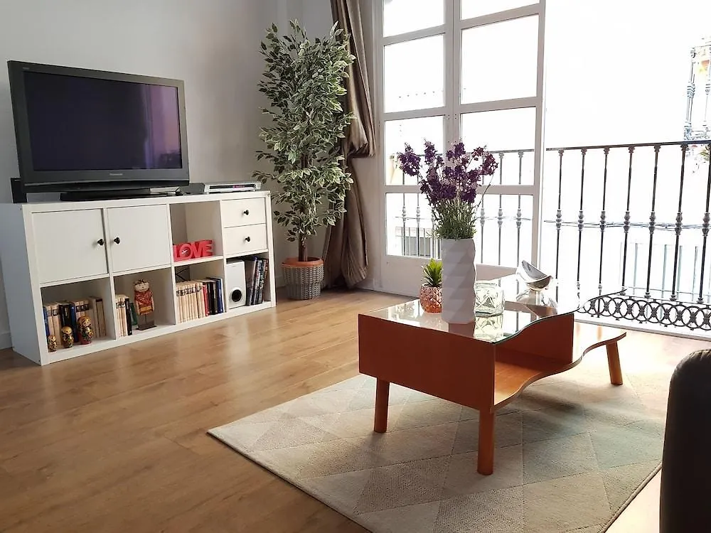 Charming 3 Bedrooms Historical Center Málaga Lejlighed